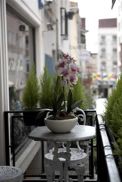 B Guest Hotel