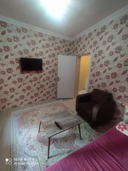 Newly Furnished apartment F3
