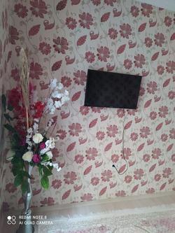 Newly Furnished apartment F3