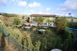 Forest Blue Beach Hotel