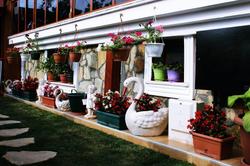 Ağva Sahil Yıldızı Hotel