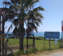 Palm Beach Şile