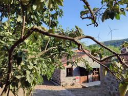 Thousand Ally Boutique