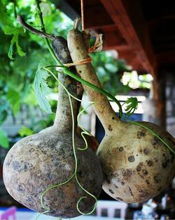 Alaçatı Bedirhan Konak Otel