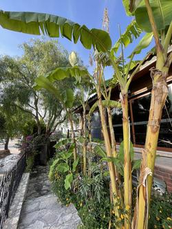 Ata Boutique Hotel