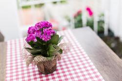 Atlıhan Otel Alaçatı