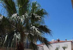 Design Hotel Alaçatı