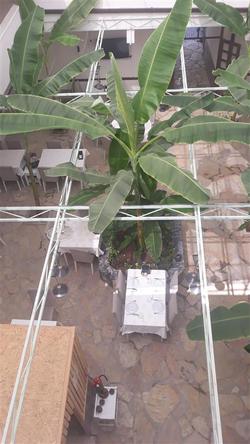 1989 Hotel Sebat