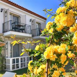 Morisi Konak Alaçatı