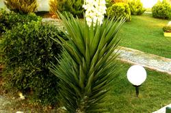 Tepe Butik Otel
