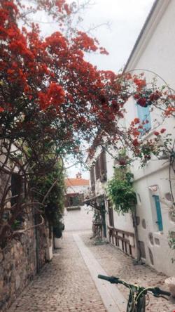 Çalıkuşu Butik Hotel