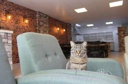 Sığacık Olive Hotel