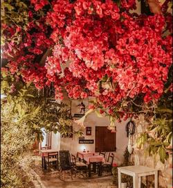 Sığacık Poseidon Butik Otel