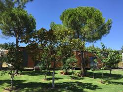 Sakiz Tiny House & Apart