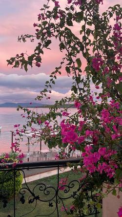 Villa Polikne Otel & Restoran