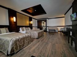 Sarıkamış White Park Hotel