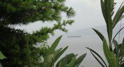 Yakamoz Otel & Restaurant (Adult Only)