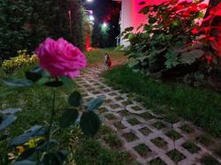 Kadifeli Konak Otel & Bungalov