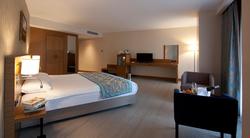 Mirel Hotel