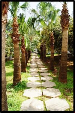 Intermot Bogsak Hotel