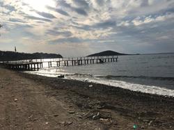 Moby | Bodrum