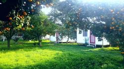 Ecofarm Camp & Bungalow