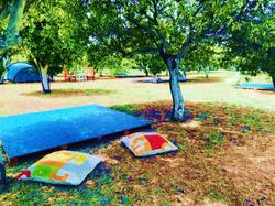 Ecofarm Camp & Bungalow