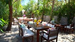 Lemon Garden Türkbükü