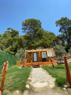 Tiny Mini House