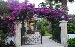 Azure Villa
