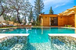 Villa Pineyards