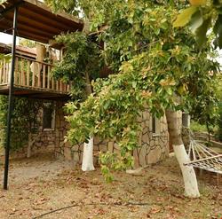 Fethiye Bungalow