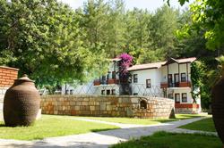 Karadaki Ada