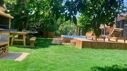 Orange Paradise