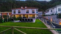 Villa Palmea