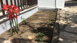 Deniz Kızı Pansiyon