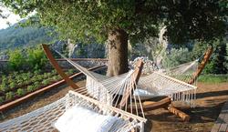 Dionysos Village Hotel