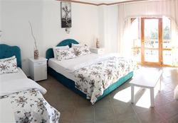 Dolphin Hotel