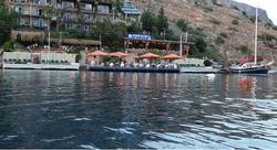 Dolphin Hotel