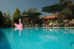 Green Boutique Doğa