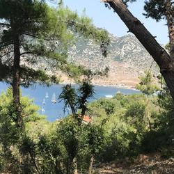 Selimiye Orman Evleri