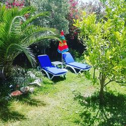 Green House Boğaziçi -Dodo House