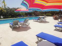 Green House Boğaziçi -Dodo House