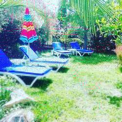 Green House Boğaziçi -Dodo House