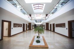 Carissa Otel