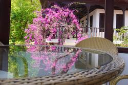 Jasmine Suites Akyaka