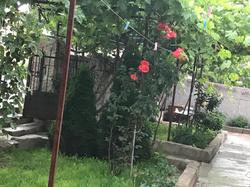 Acan Apart Pansiyon