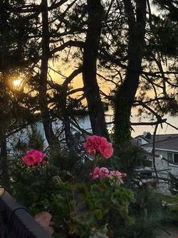 Lalezar Sea Garden Hotel