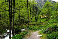 Ayder Kardelen Bungalov