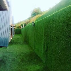 Bungolya Bungalov Otel